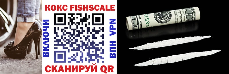 Cocaine FishScale  Купить закладки  Гаврилов Посад 